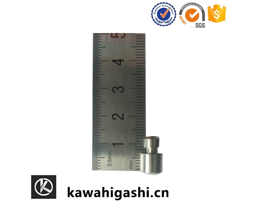 Dalian Precision Parts Company